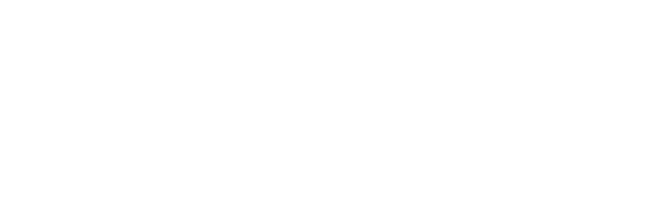 Pro Film Sound logo